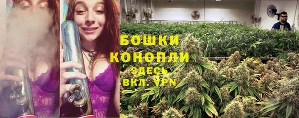 ПСИЛОЦИБИНОВЫЕ ГРИБЫ Балабаново