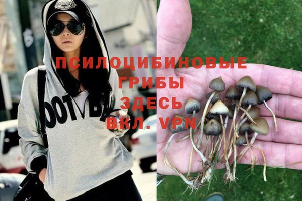 ПСИЛОЦИБИНОВЫЕ ГРИБЫ Балабаново