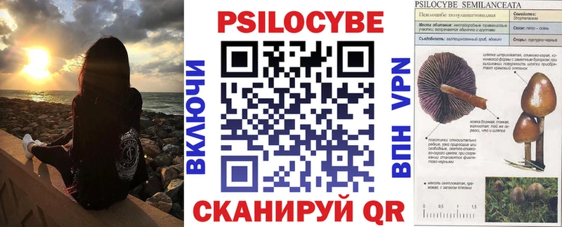 Галлюциногенные грибы GOLDEN TEACHER  сколько стоит  Губаха 