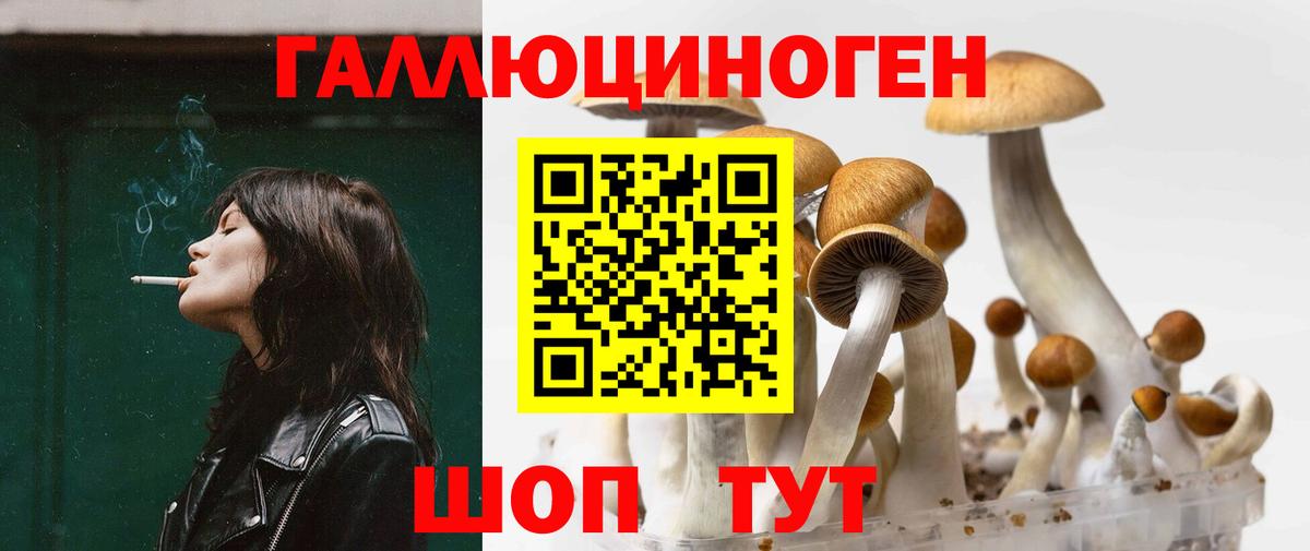 Псилоцибиновые грибы мухоморы Губаха